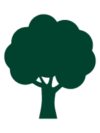 palmeras