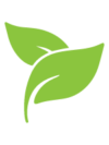 plantas